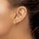 14k Yellow Gold 2D Polished and Textured Octopus Stud Earrings