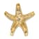 14k Yellow Gold Textured Starfish Slide Pendant