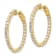 14K Yellow Gold 3ct. 2.30mm G H I True Light Moissanite Round Hoop with
Safety Clasp Earrings