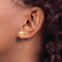 14k Yellow Gold Polished and Diamond-Cut 9mm Button Earrings