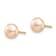 14k Yellow Gold 6-7mm Pink Button Freshwater Cultured Pearl Stud Earrings