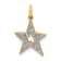 14K Two-tone Gold Diamond Star Charm