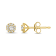 Diamond 0.20Ctw 10k Yellow Gold Earrings