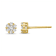 Diamond 0.75Ctw 10k Yellow Gold Earrings