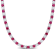 33 CT TGW Created Ruby and Created White Sapphire Tennis Necklace in
Sterling Silver