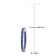 2 4/5 CT TGW Created Blue Sapphire Inside Outside Hoop Earrings in 10K
White Gold