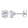 2 CT TW Lab-Grown Diamond Stud Earrings in 14K White Gold (IGI Certified)