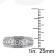 1 1/5 CT TGW Created White Sapphire Graduated Ring in Sterling Silver