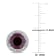 5 1/5 CT TGW Rhodolite and 1/4 CT TW Diamond Stud Earrings in 14K White Gold