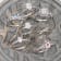 4-1/2 CT DEW Created Moissanite Solitaire Engagement Ring in 10K White Gold