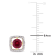 1 1/6 CT TGW Created Ruby and Diamond Accent Square Stud Earrings in 10K
Yellow Gold