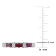 1/2 CT TGW Ruby and Diamond Accent Eternity Ring in 10K White Gold