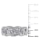 1/8 CT TW Braided Diamond Ring in Sterling Silver