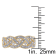1/8ctw Diamond Braided Ring in 18K Yellow Gold Over Sterling Silver