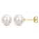 7-7.5MM Freshwater Cultured Pearl Stud Earrings in 14K Yellow Gold
