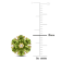 1 4/5 CT TGW Peridot and White Topaz Flower Stud Earrings in Yellow
Plated Sterling Silver