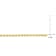 3mm Diamond Cut Ball Chain Necklace in 10k Yellow Gold, 16 in