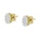 18K Yellow Gold 1.0ctw Flower Diamond Stud Earrings