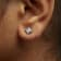 10K White Gold 1/5 Cttw Invisible Set Princess-Cut Diamond Stud Earrings
(H-I Color, SI2-I1 Clarity)