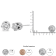 1.00ctw Round Diamond 14K White Gold Crown Stud Earring