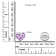 18K Rose Gold Round Purple Amethyst Gemstone with Round Diamonds Cluster
Heart Pendant