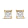14K Yellow Gold 5/8 Cttw Princess Natural Brown Color Diamond Stud Earrings