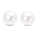7.5-8.0MM Saltwater Akoya Cultured White Pearl 14K White Gold Stud Earrings