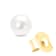 5.5-6.0MM Saltwater Akoya Cultured White Pearl 14K Yellow Gold Stud Earrings