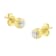 10K Yellow Gold 0.30ctw Round Brilliant-Cut Near Colorless Diamond
Bezel-Set Stud Earrings