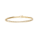 14K Yellow Gold 6.0 Cttw Classic 4 Prong Set Round Brilliant Cut Diamond
Tennis Bracelet