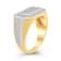 Natural White Diamond 14K Yellow Gold Over Sterling Sivler Men's Ring
0.20 CTW