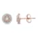 Natural White Diamond 14K Rose Gold Over Sterling Silver Stud Earrings
0.25 CTW