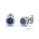 10K White Gold 1/4 Cttw Blue and White Round Diamond Cluster Stud Earrings