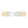 1/2CTW Diamond & Stainless Steel with Yellow IP Bracelet
