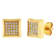 1/4CTW CHAMPAGNE DIAMOND & YELLOW IP STAINLESS STEEL EARRINGS