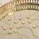 J'ADMIRE Mother of Pearl 14K Yellow Gold Over Sterling Silver Leo Zodiac Necklace