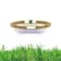 Grass Collection - Gold Over Sterling Silver Ring  – 1 Intense Green
Natural Emerald