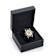 Medusa Deco Leather Watch