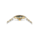 Greca Reaction Green Dial Two-tone Stainless Steel Bracelet Watch