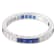 Beverley K 14K White Gold 0.32ctw Diamond and 0.96ctw Sapphire Eternity Band