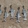 Sterling Silver Lariat Style Grouper Necklace