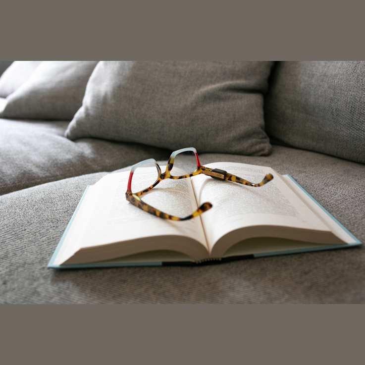 Altaché Trendsetter Combo Eyewear Clip/White Clover Eyewear Charm