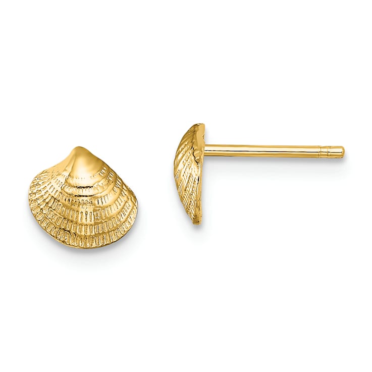 14k Yellow Gold Textured Mini Clam Shell Stud Earrings
