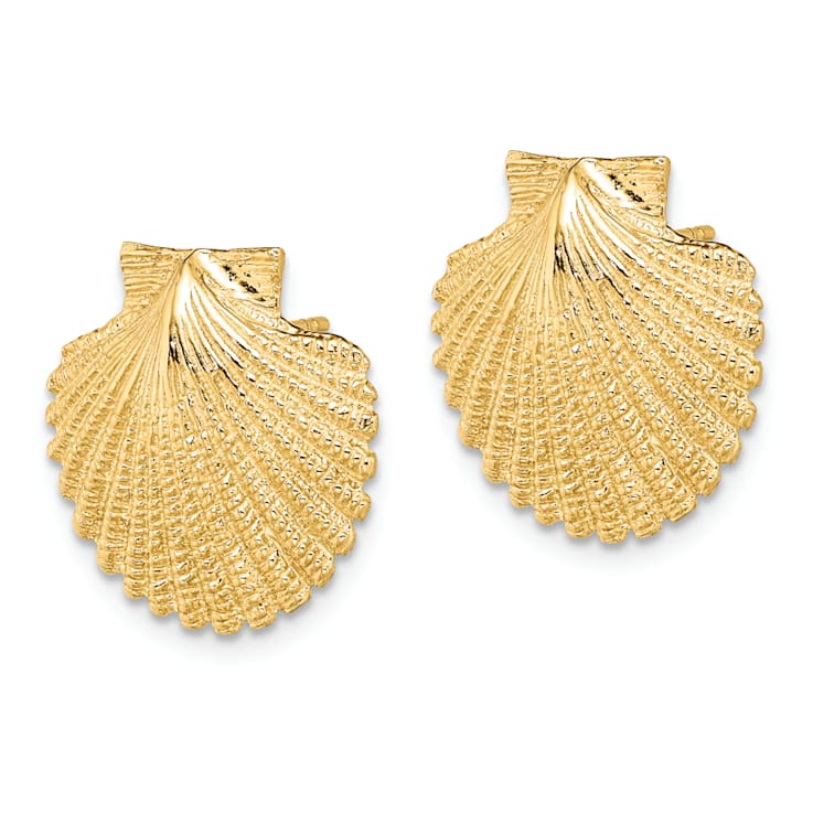 14k Yellow Gold 2D Textured Scallop Shell Stud Earrings