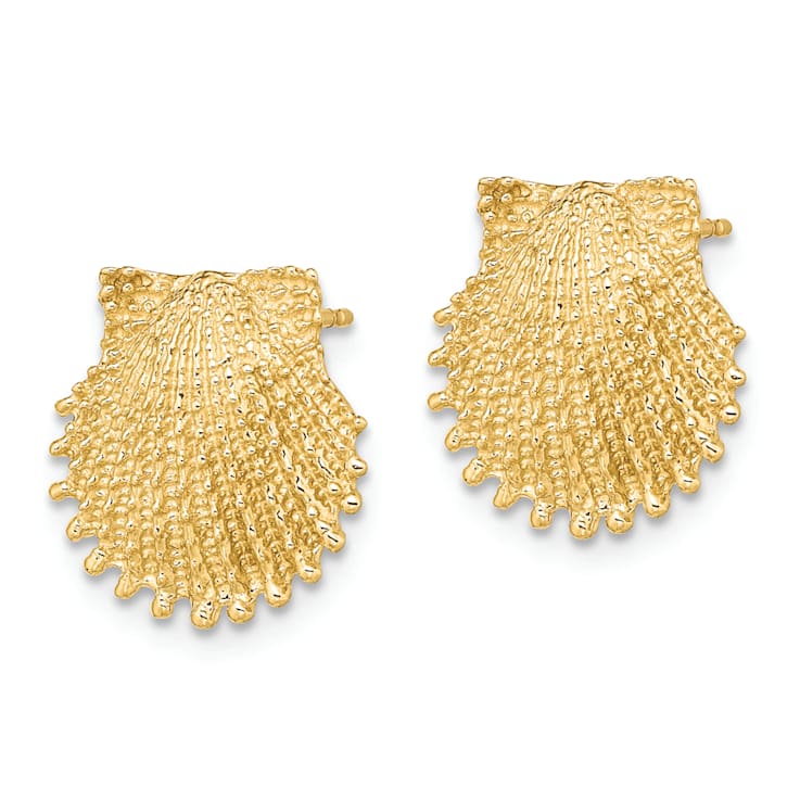 14K Yellow Gold Beaded Textured 13.4mm Scallop Shell Stud Earrings