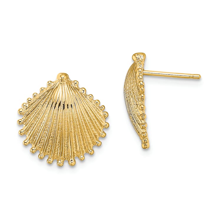 14K Yellow Gold Textured Scallop Shell Stud Earrings