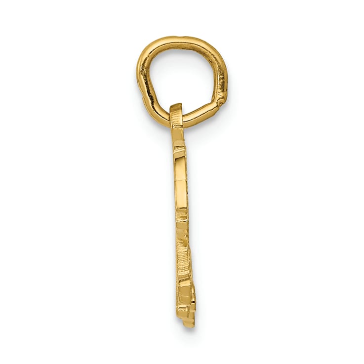 14k Yellow Gold Textured Tiger Pendant