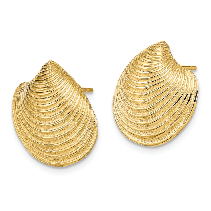 14k Yellow Gold 2D Textured and Polished Clam Shell Stud Earrings