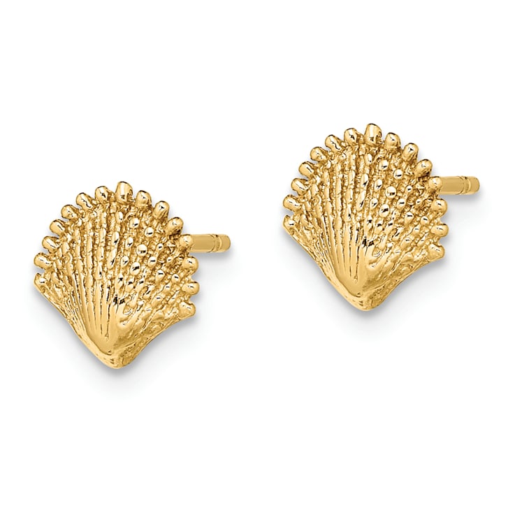 14k Yellow Gold Textured Scallop Shell Stud Earrings