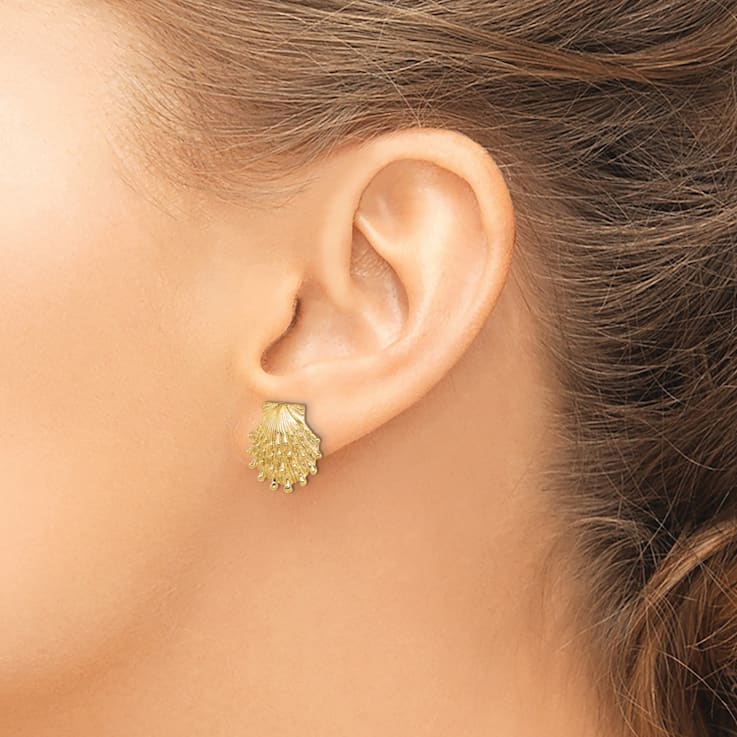 14k Yellow Gold Textured Lion's Paw Shell Stud Earrings